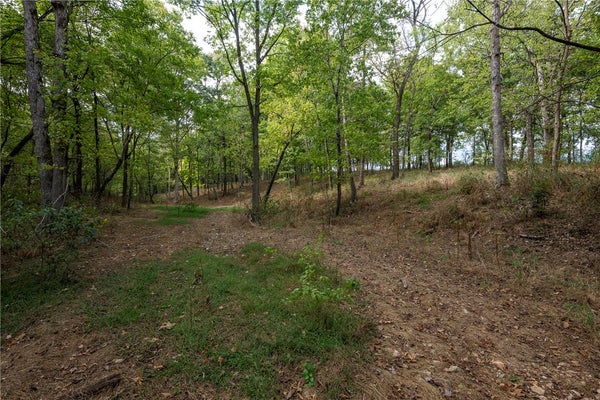 10107 NOAH RD # 1, GRAVETTE, AR 72736 - Image 8eabd8bfb450d0b88f5eb05e5af20b57/2056830065
