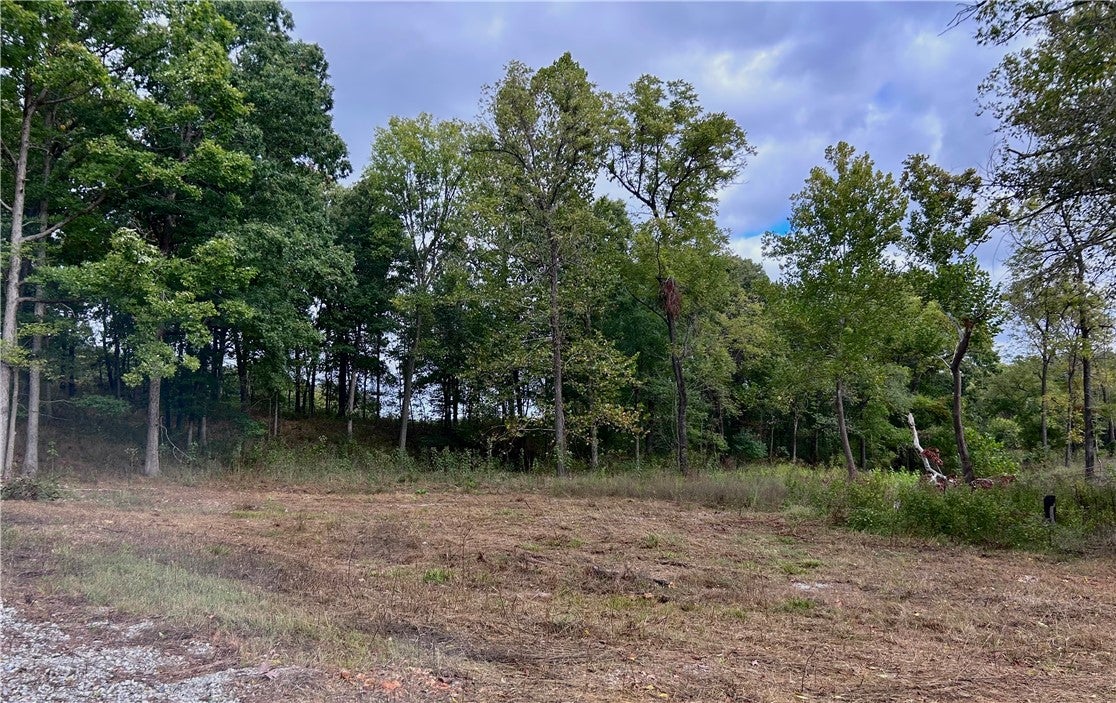 10107 Noah Road Tract #1