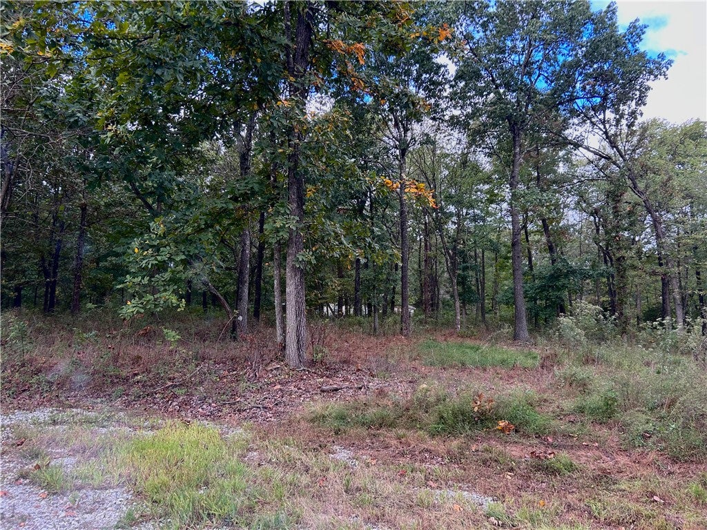10107 Noah Road Tract #1
