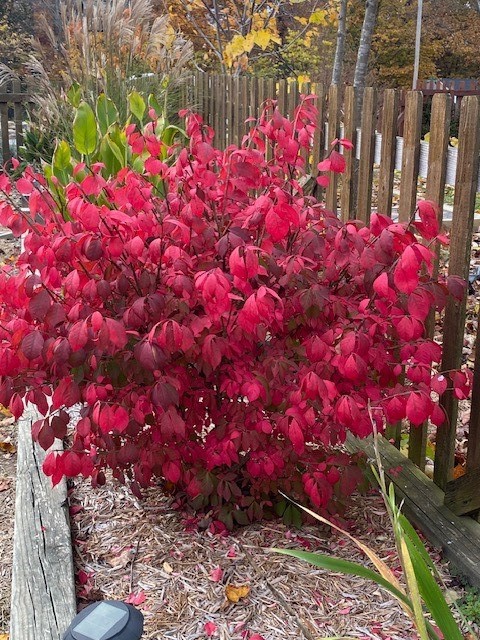 East Riding Sub Bvv - Residential