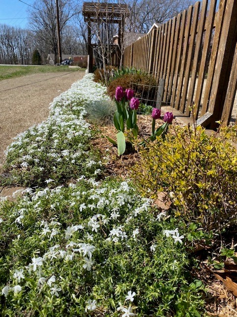 East Riding Sub Bvv - Residential