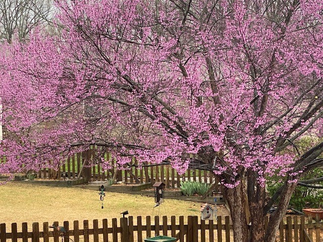 East Riding Sub Bvv - Residential