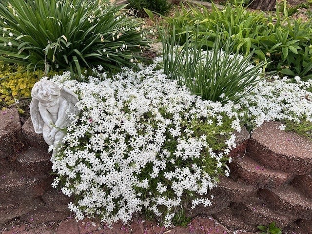 East Riding Sub Bvv - Residential