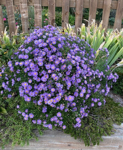 East Riding Sub Bvv - Residential