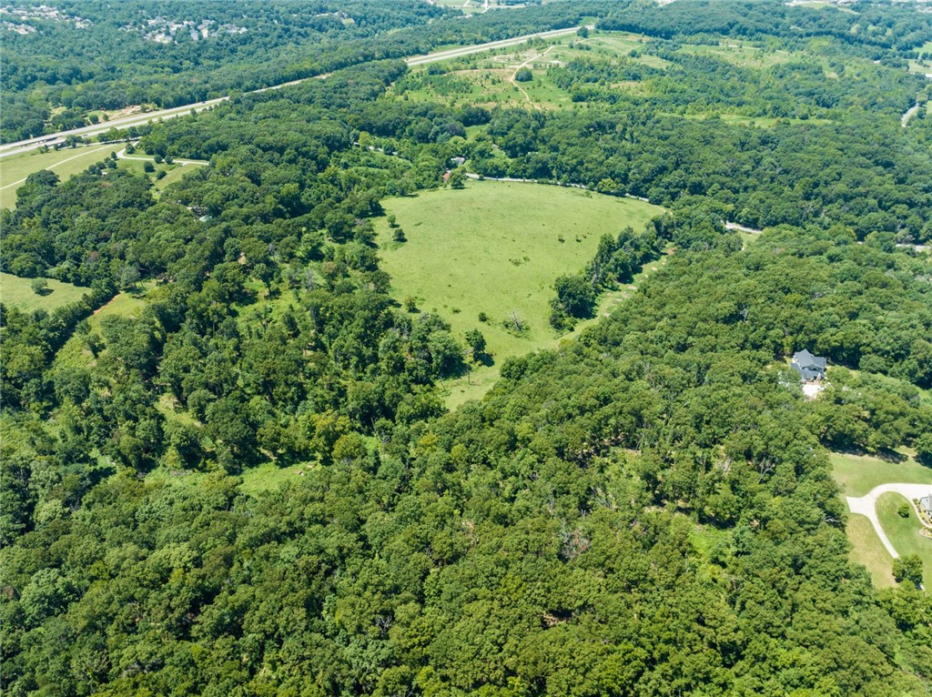 55.59 Acres Slaughter Pen Road