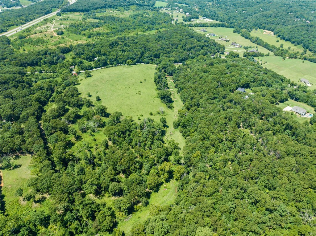 55.59 Acres Slaughter Pen Road