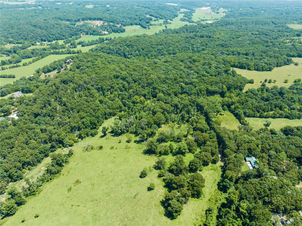 55.59 Acres Slaughter Pen Road
