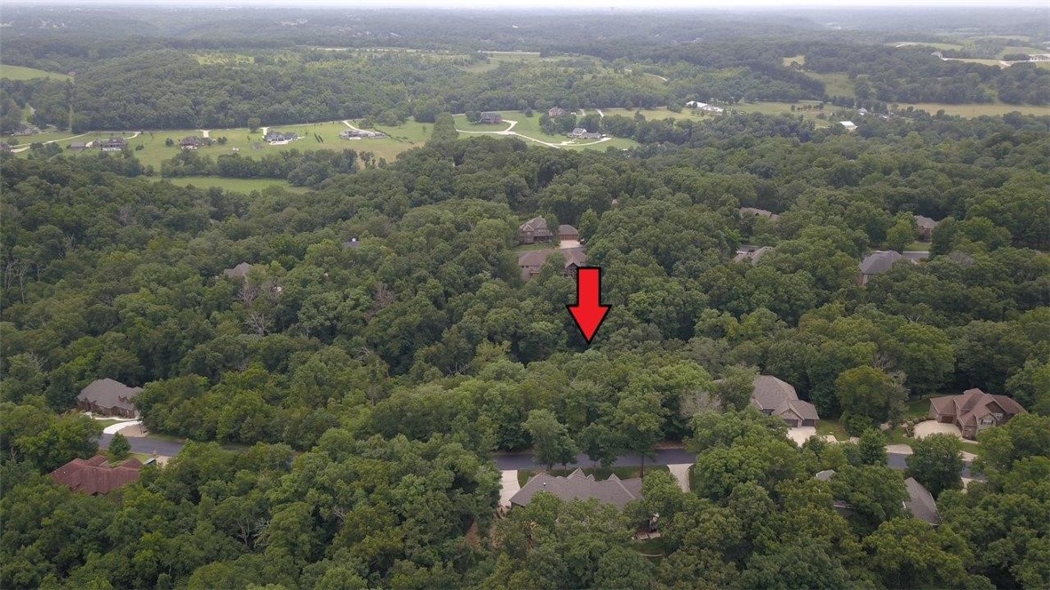 Build your dream home and settle down on this beautiful wooded 1 acre lot in North Bentonville. Stone Ridge Estates is secluded yet only minutes from I-49, bike trails, bark park and walking trails. As well as a short 15 minute drive to downtown Bentonville, Crystal Bridges Art Museum and the Walmart Home Office.