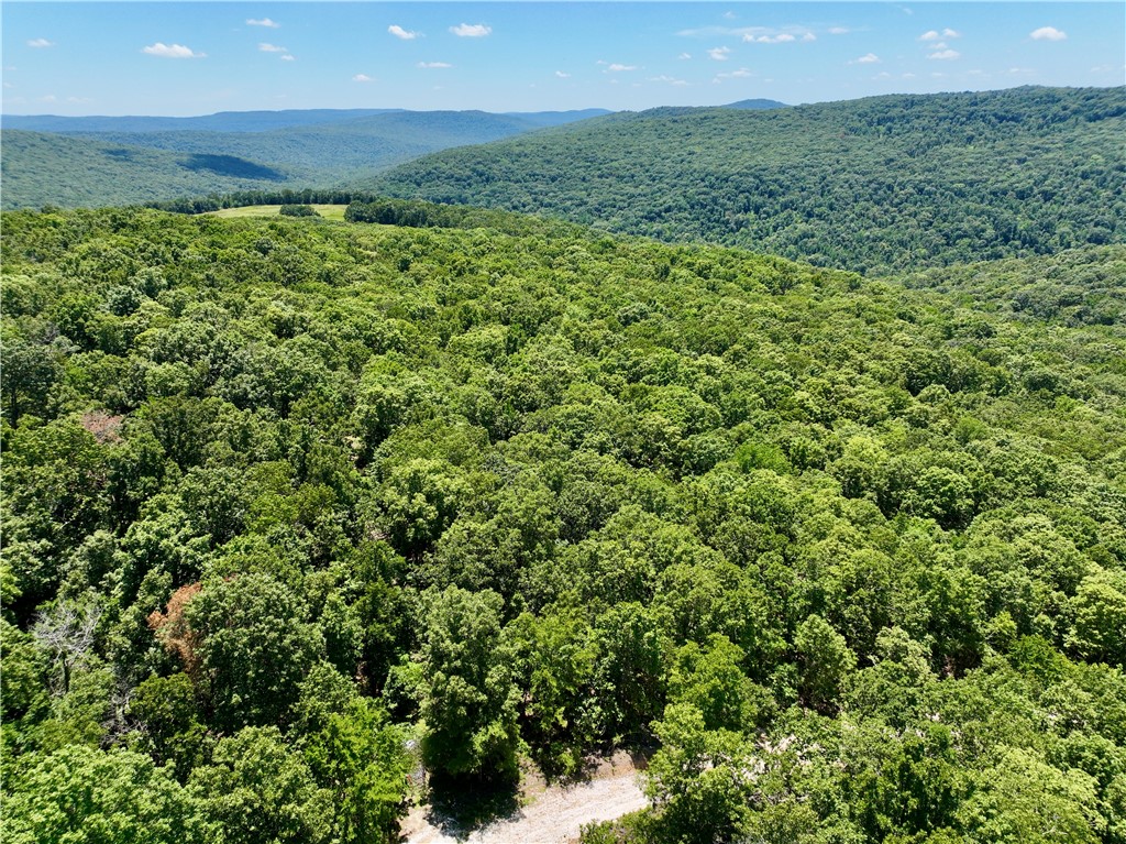 Welcome to an extraordinary opportunity to own a pristine piece of the Ozarks. Tucked away in the rolling mountains just a short drive from Fayetteville, this stunning property offers the perfect balance of natural beauty, seclusion, and recreation. From the moment you enter the private drive, you'll know you've found something special.
This Ozark Mountain hunting oasis is a dream come true for outdoor enthusiasts. The property is loaded with mature hardwood timber, including an abundance of red and white oaks, providing an excellent food source for wildlife and incredible timber value. The terrain features breathtaking rock overhangs and natural formations, along with seasonal creeks and cascading waterfalls that add charm and beauty to the landscape. An extensive private trail system already exists, allowing for easy access throughout the property. With some minor enhancements, this network could be transformed into a full trail riding experience for ATVs, horseback riding, or hiking.