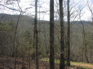 Good, easy access to this nice 6.5 acre tract m/l with electricity on site. New road off of a county road to this property. Small creek on this property. Priced to sell. There is more land available adjoining this tract of land at this time. Total land available is 103 acres.