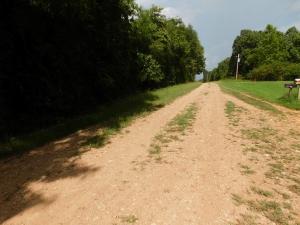8.38 Acres Wooded Land within 2 miles of Bergman School, end of road location, choose from several home sites to build or place your manufactured home. Bergman water and electric available. Come see today.