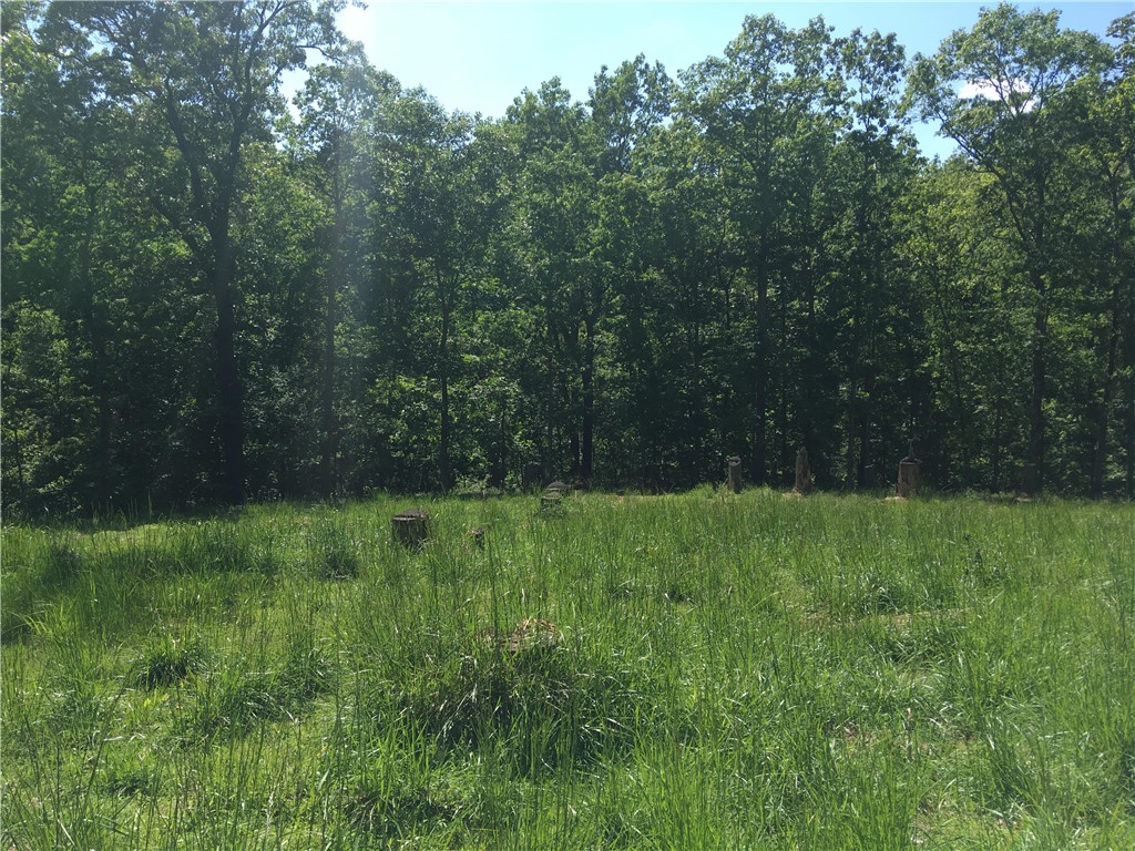 This beautiful, 5 acre lot with cleared home site, is 3 miles from downtown Rogers, 3 miles to Prairie Creek marina/Beaver Lake and 2 miles to Lake Atalanta Park/Railyard Bike Park. This lot is secluded in the trees, off the desirable Eastgate Drive in Prairie Creek, filled with beautiful homes and peaceful nature. This is a rare opportunity to build your dream home in a beautiful setting less than five minutes to downtown Rogers and Beaver Lake. Utilities at street.