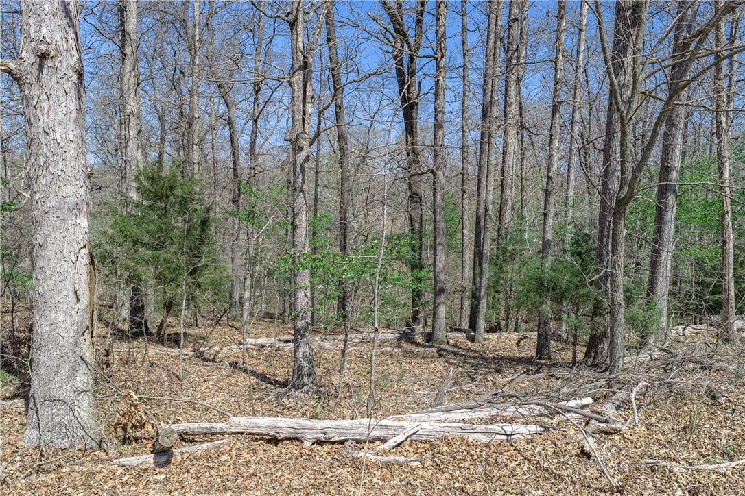 Hampshire Sub Bvv - Land