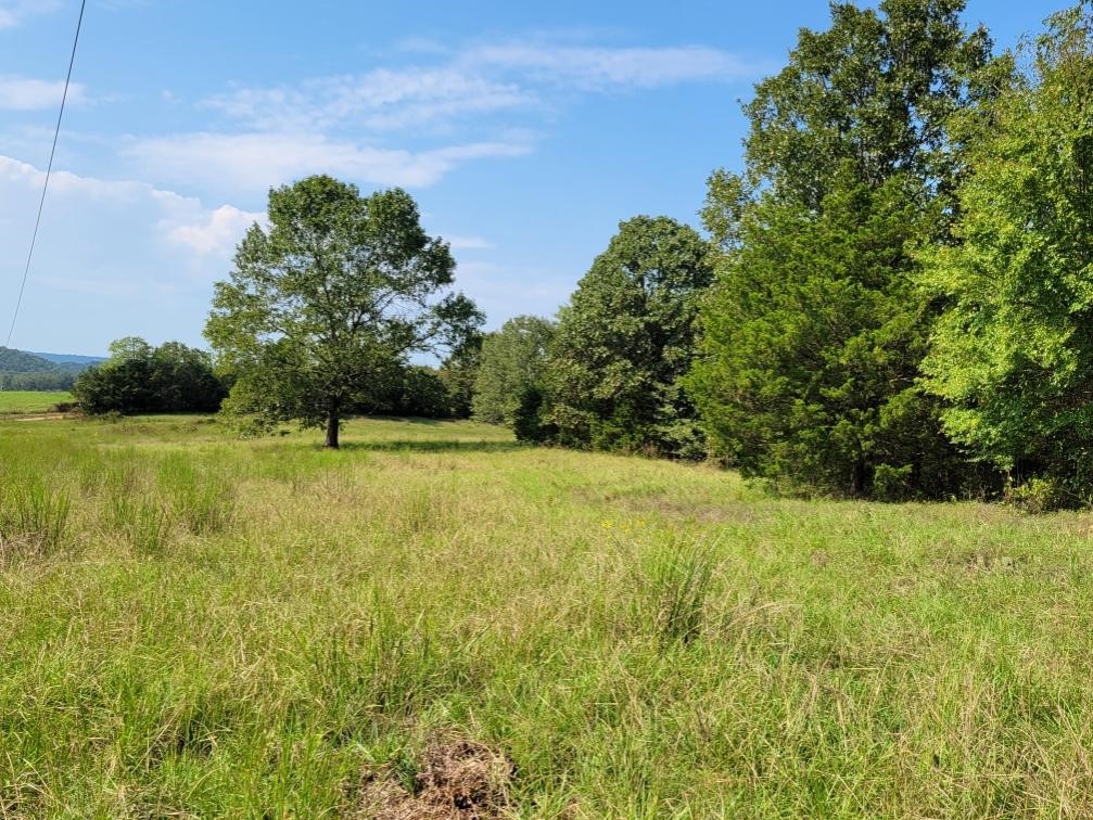 97 Acres Great views overlooking pastures and woods below a fantastic building site just waiting for a country porch to sit on while you watch the cattle (and maybe a deer) feed below. NO MINERALS CONVEY. There is a large powerline traversing the south portion of the tract. Some portions of this tract. Some pictures may include a portion of tract 1 also for sale MLS# 1322836