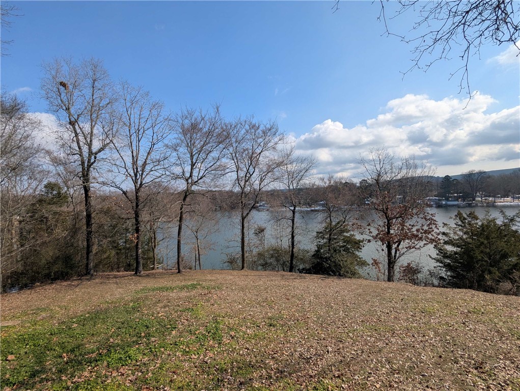 Satterfield Point - Land