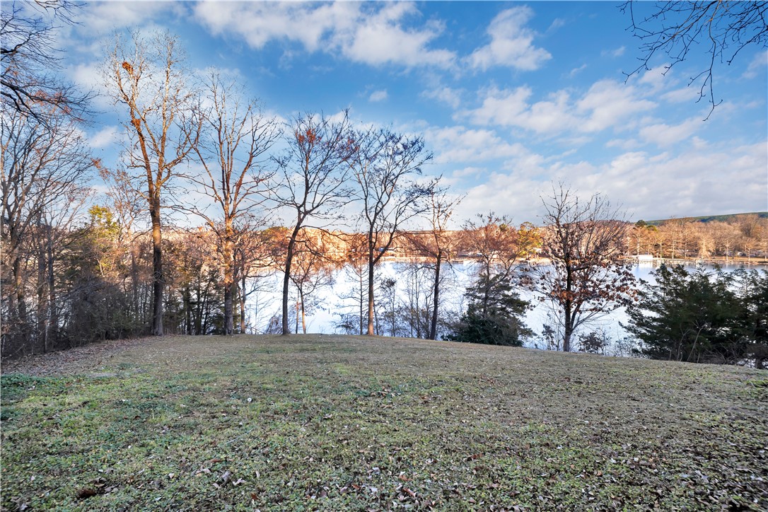 Satterfield Point - Land