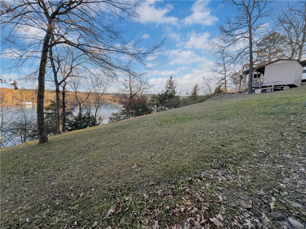 Satterfield Point - Land