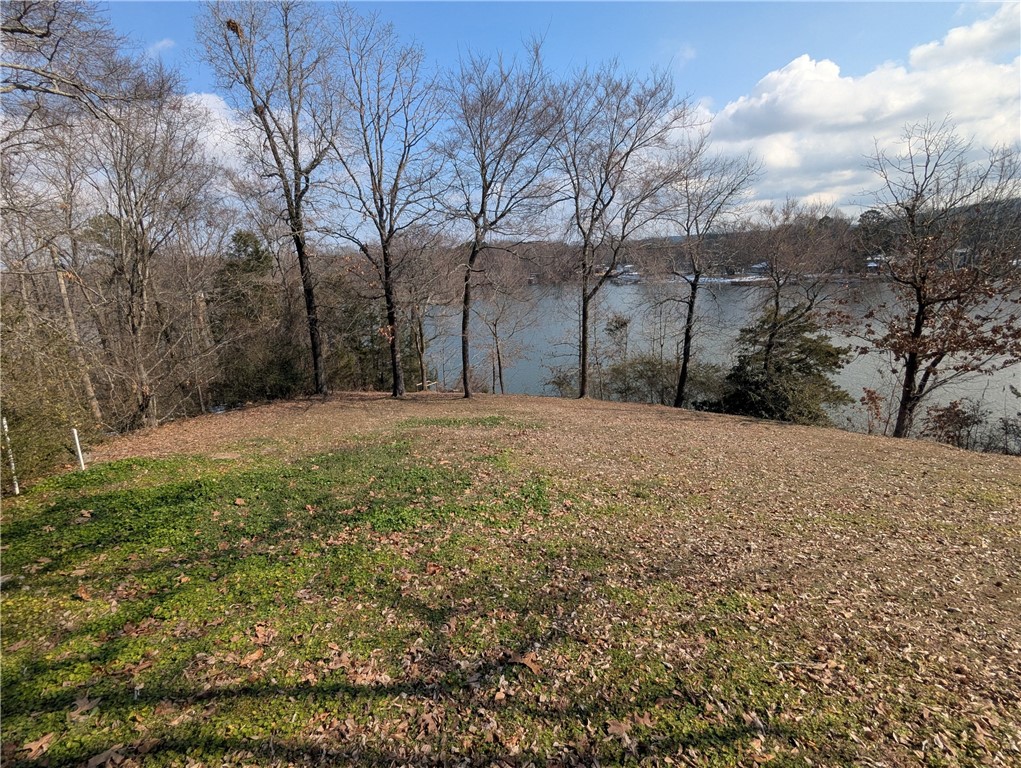 Satterfield Point - Land