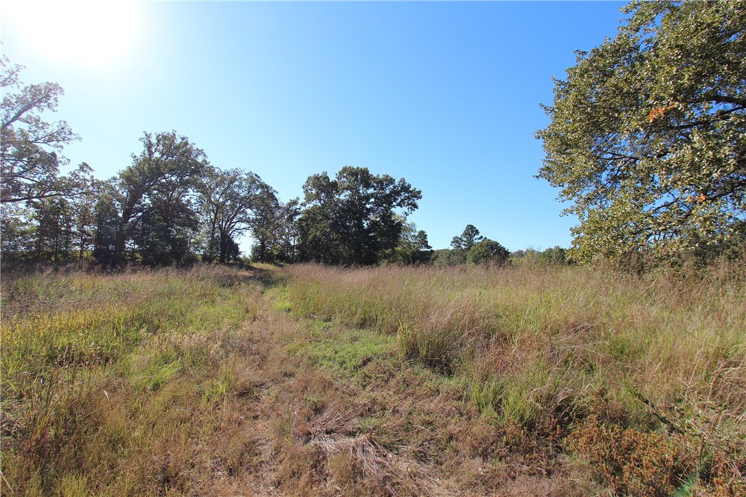 Mountain View Meadows - Land