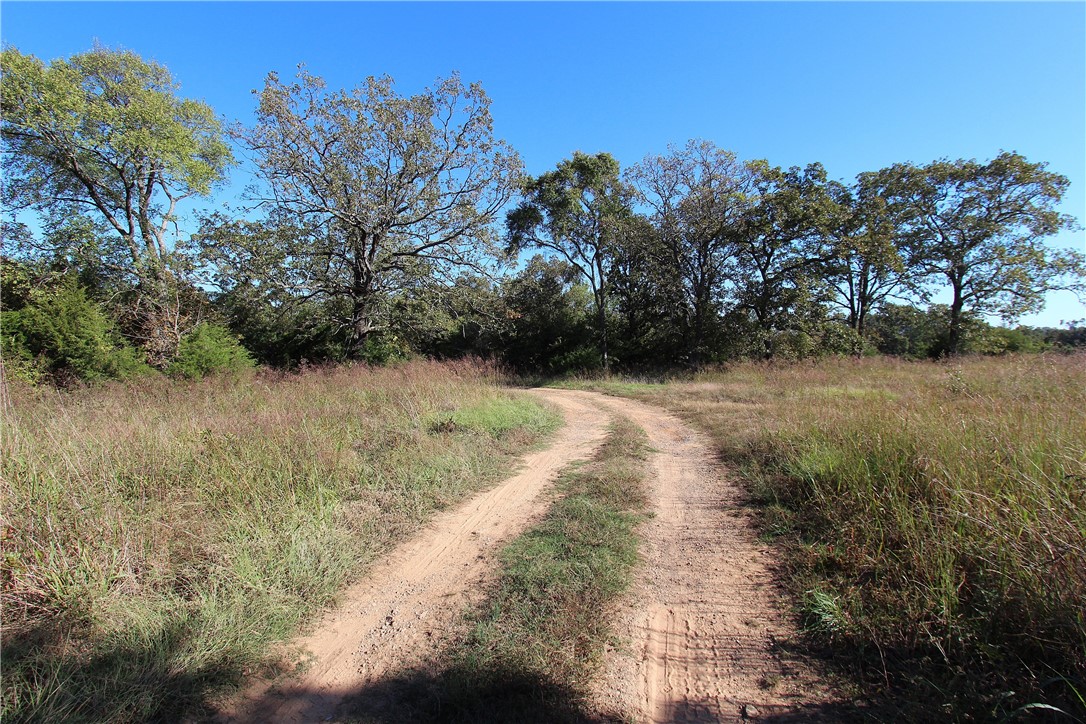 Mountain View Meadows - Land