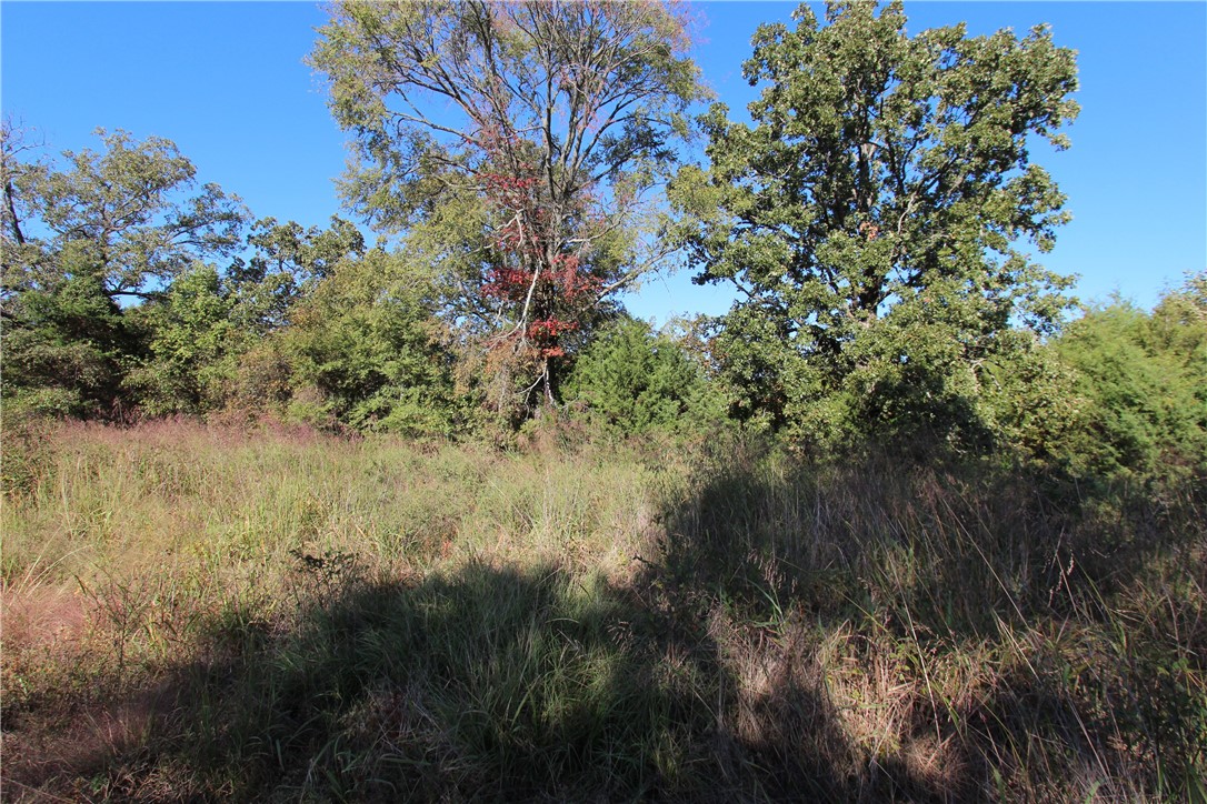 Mountain View Meadows - Land