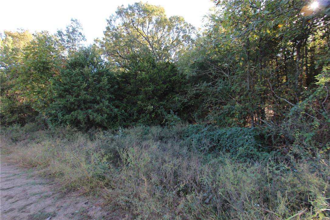 Mountain View Meadows - Land