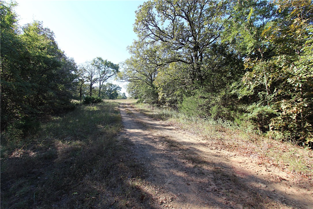 Mountain View Meadows - Land