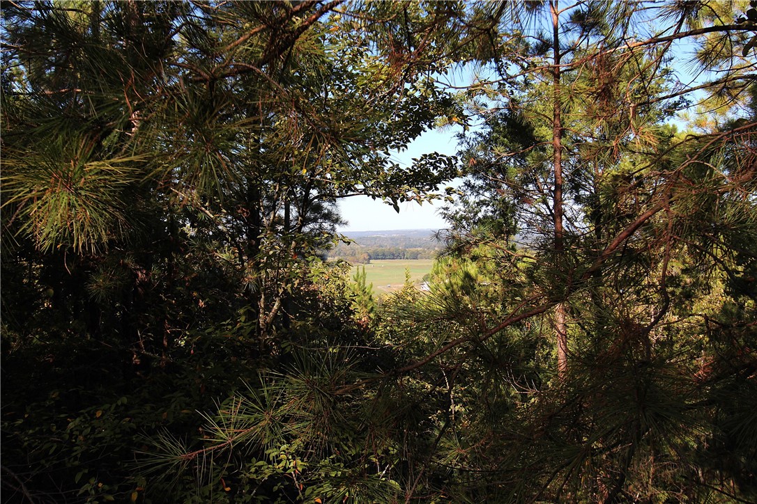 Mountain View Meadows - Land