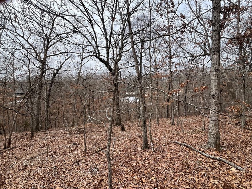 Lot in the heart of mountain biking trails!  Nearby trails SBAT, Skip Town, and Flo Ride.  .31-acre rectangle lot, perc tested for up to 3-bedroom home, new home construction nearby, Bentonville School District, Near Lake Ann & Lake Brittany, Dogwood & Brittany golf course 2.5-miles away, Enjoy Amenities of Bella Vista POA Lot monthly fee $16 - allows access to (7) Lakes, (6) Golf Courses, (2) Outdoors Swimming Pools, (1) Indoors Swimming Pool, (3) Workout Centers, Tennis Courts, Pickleball Courts, Disc Golf, Gun Range, Golf Driving Range, Walking Trails, 100 Miles of Mountain Biking Trails, (1) Sandy Beach, Pro Golf Shops, Fishing Docks, and much more.