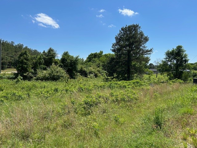 COUNTRY SUBDIVION . THIS PROPERTY IS THE LAST LOT AVAlIABLE IN THIS AREA.. SELLER HAS DECIDED TO PUT LOTS 17 & 18 TOGETHER TO MAKE THE LOT A LITTLE BIGGER FOR THE BUYER ! PRICED TO SELL AT $ 19,900 THE HOMES IN THIS AREA ARE ALL NEWER WITH 2 CAR GARAGES ,WITH PLENTY OF SPACE FOR PRIVACY !