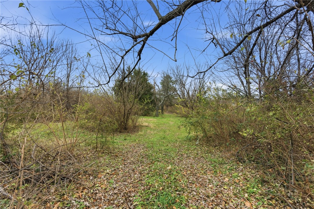 Springdale Outlots - Residential