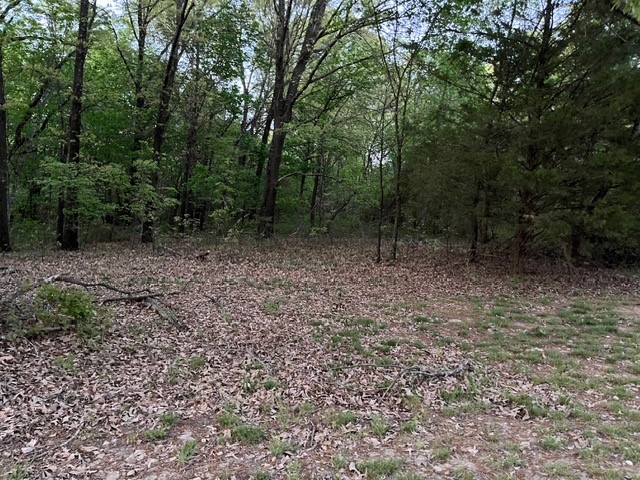 Looking for that little bit of land (10.26 +/- acres) and a fantastic location look no further... Rural water located at street, electric available at street, very private and wooded. Could have your own homestead here!! Agent owned, no sign at property