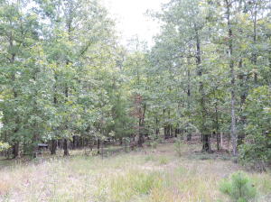 11 1/2 wooded acres just a short drive from Bull Shoals Lake and Harrison, Arkansas. Electric and phone are on the property as is a Well. Owner thinks there are possibly 1 or 2 septic tanks on the land. (Buyer should verify septic tanks). Nice building sites. Small storage building included. Approx 20'x30' concrete slab. Pretty mixture of hardwoods and pine timber.