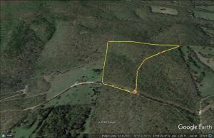 Great wooded tract only short drive from the Buffalo River. Large mature timber with several nice building sites. An additional 207 acres is available to be purchased with this tract.