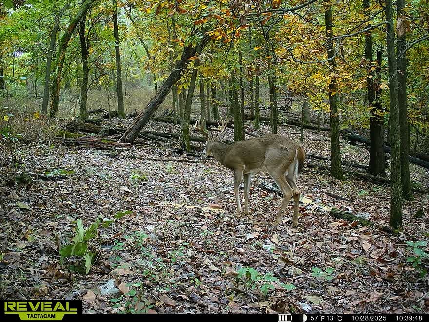 10-19-34-RURAL - Residential