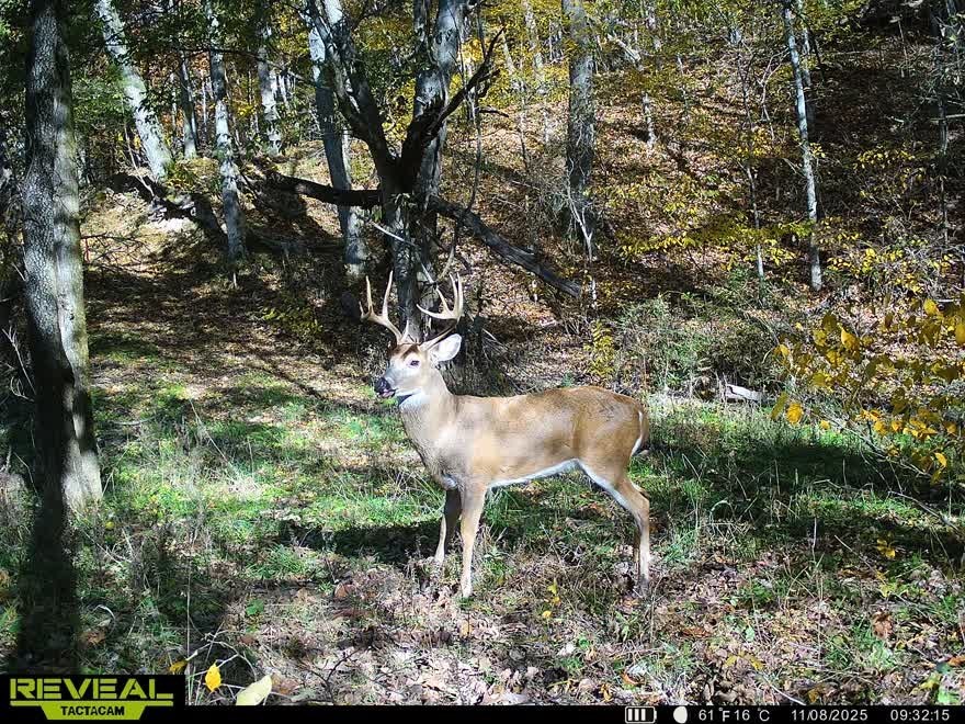 10-19-34-RURAL - Residential