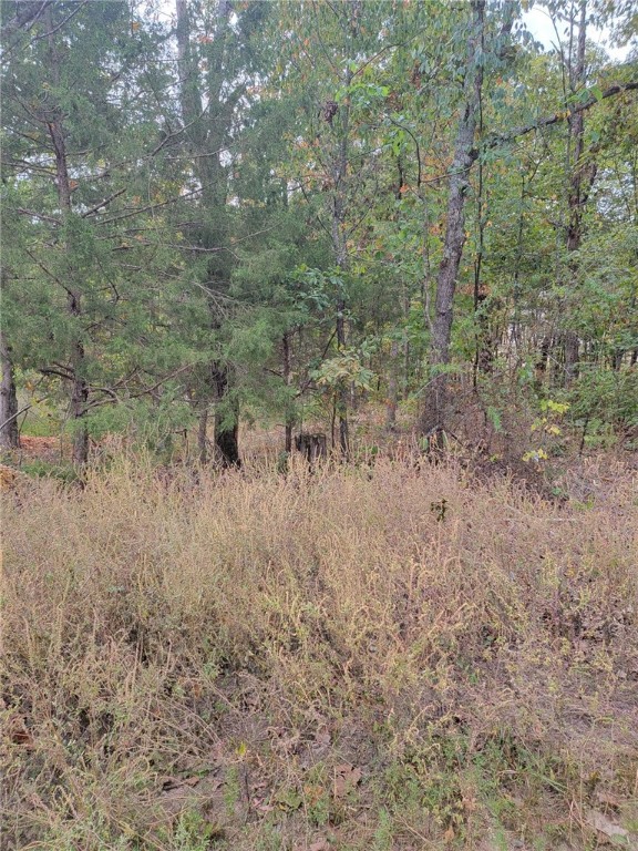 Large lot on .51 acres east side of Bella Vista,In Pea Ridge School district.