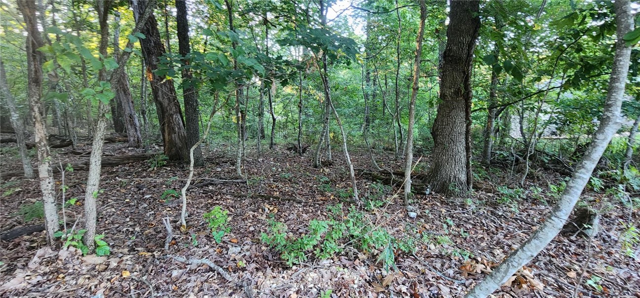 Gloucester Sub Bvv - Land