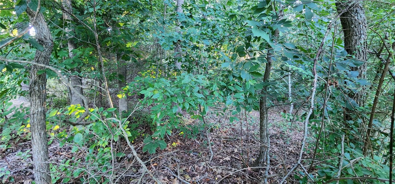 Gloucester Sub Bvv - Land