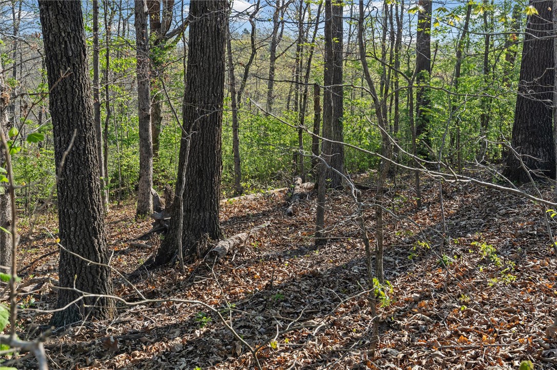 Sherwood Sub Bvv - Land