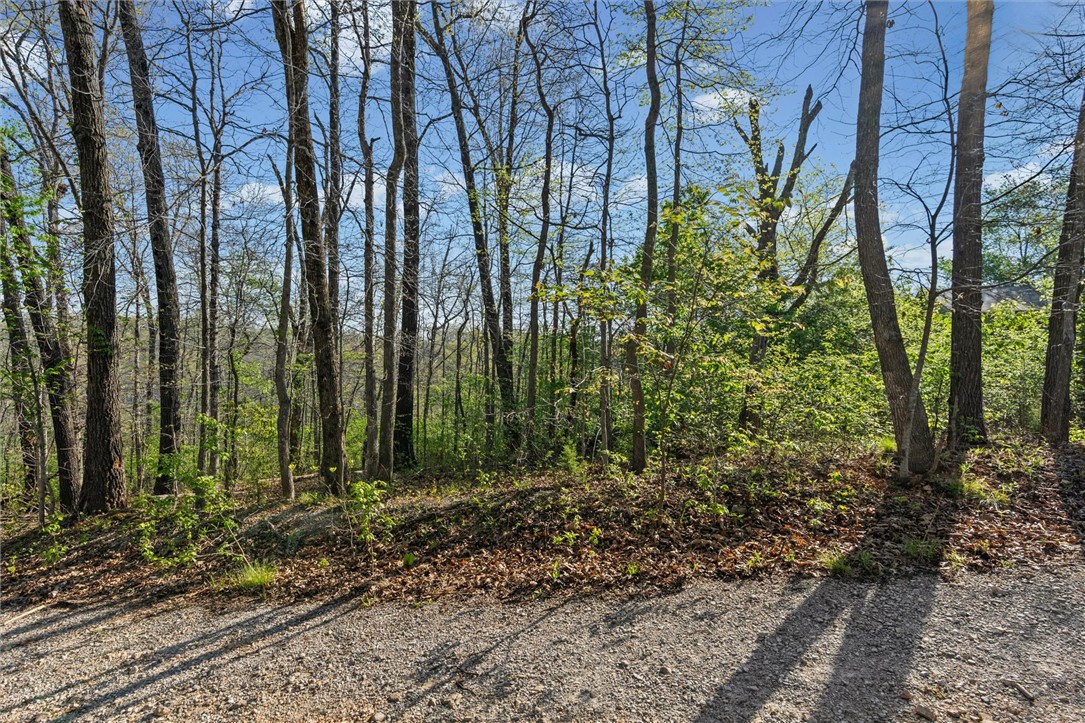 Sherwood Sub Bvv - Land