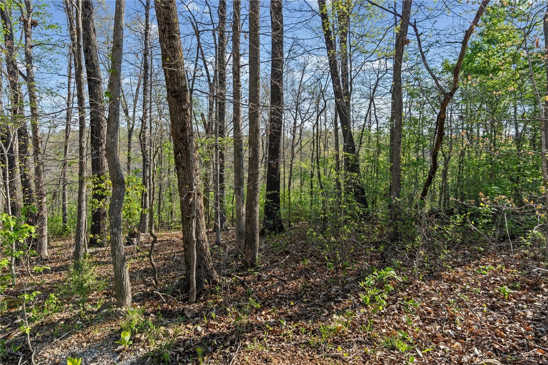 Sherwood Sub Bvv - Land