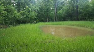 40 Acres M/L of private land. Home-site with great Ozark Mountain views and several food plots and ponds for the wildlife!! Great location for hunting cabin or weekend getaway. Close to the Ozark National Forest and the Buffalo National River. Also there is some marketable timber.