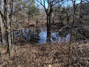 Great building site in Osage Bluff S/D just off pavement with easy access. Electric & water on site. Nice mixture of Hardwood & Pines. Land lays good and is in Harrison School District. All #'s are approx., buyer to verify utilities.