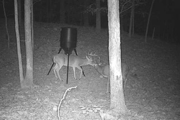 Woodland Ridge - Land