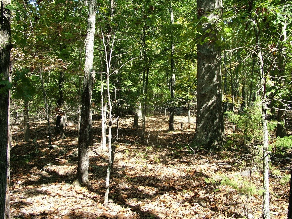 Woodland Ridge - Land