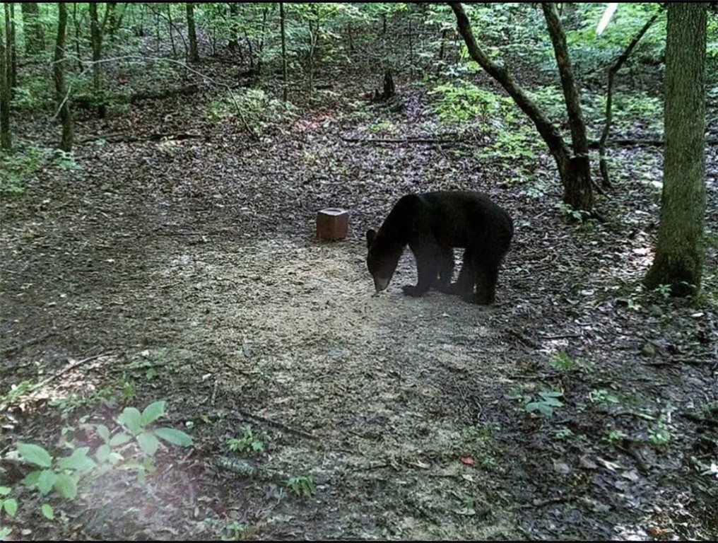 12-11-31 - Residential