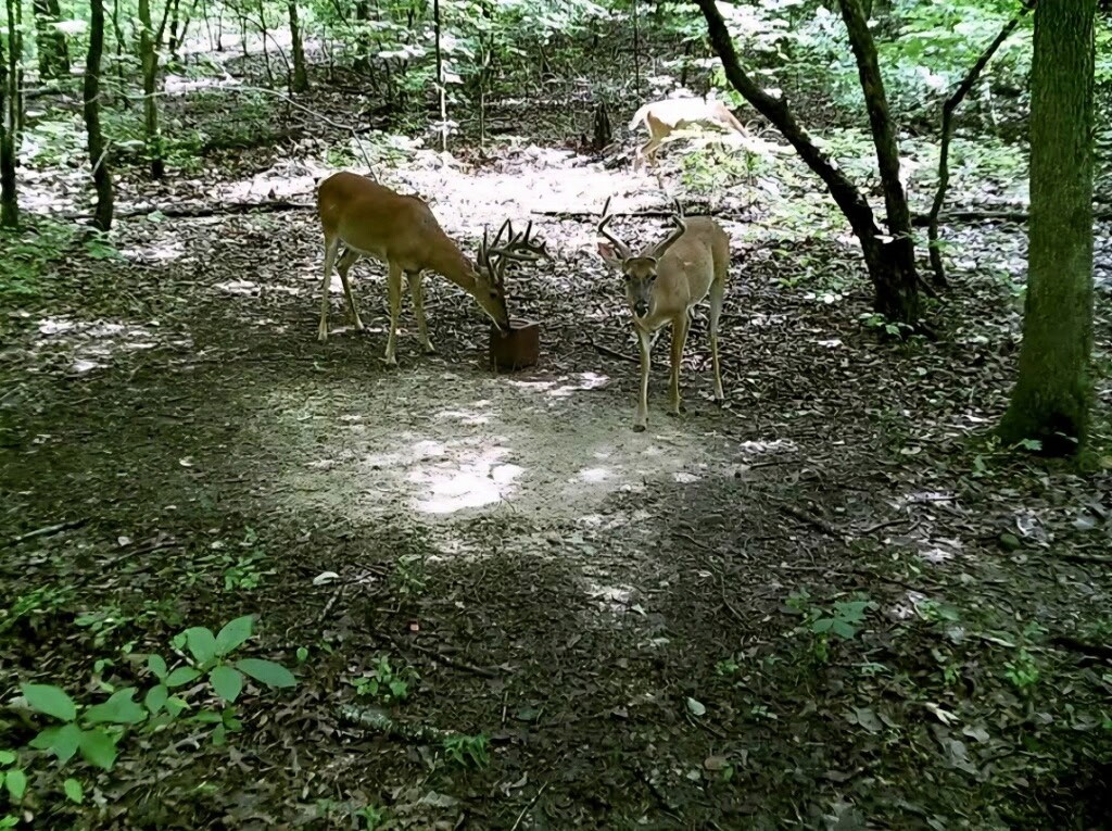 12-11-31 - Residential