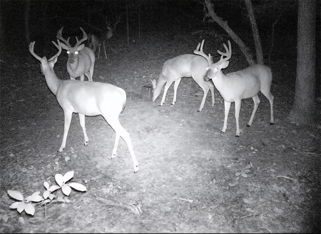 12-11-31 - Residential