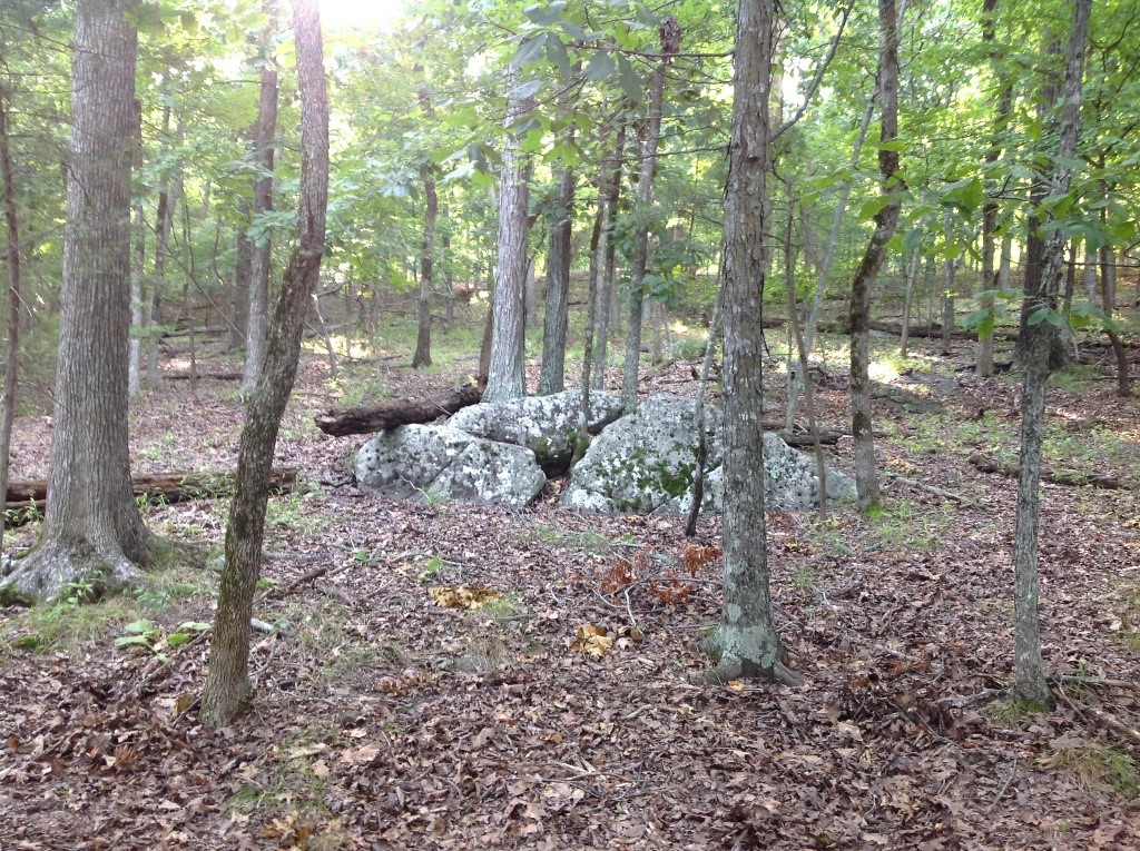 Breaking News! The rare FOUR-LOT combo has been spotted for sale in Lost Bridge Village. A total of 1.05 acres on four adjoining lots between Oak Leaf Drive and Black Oak Drive. Slightly sloping or level land can be found about anywhere on this package. Build 4 houses for a family compound or rent them out. Short Term Rentals (STRs) perform well in the Village. 1500 SF minimum home build required; no manufactured homes allowed. LBVCA now allows metal siding on houses and garages (see Building Standards document attached for details). Lots are close to the Black Oak boat ramp. Or a short drive to the pool/rec center and future pickleball courts. There are few lots left for sale in Lost Bridge, and they've been selling quickly. Red flags on trees are apprx corners.